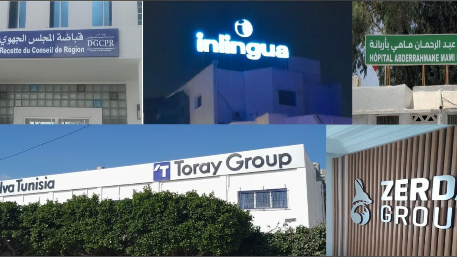 media_20250211_100212_2347060853688422795